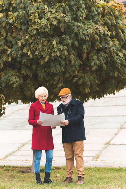 senior couple with map in park - Photo, Image