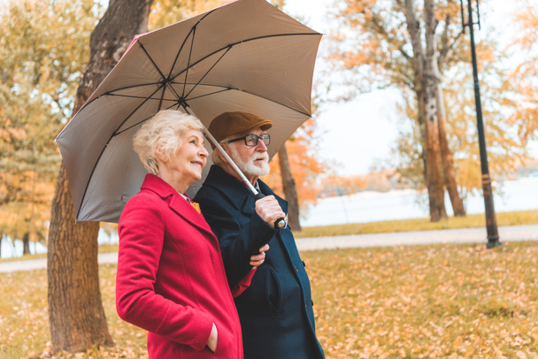 senior couple with umbrella in park - Фото, зображення