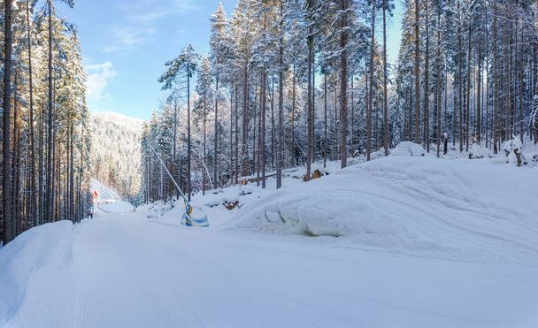 Skipiste inmitten von Wald auf Skigebiet in den Karpaten - Foto, Bild
