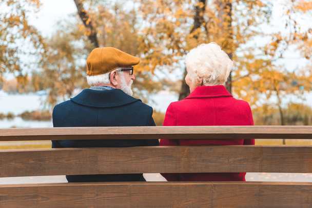 senior couple on bench in park - Фото, зображення
