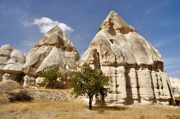 Volcanic rock pillars in Cappadocia,famous landmark, Love Valley,Turkey,popular hiking place - Foto, Bild