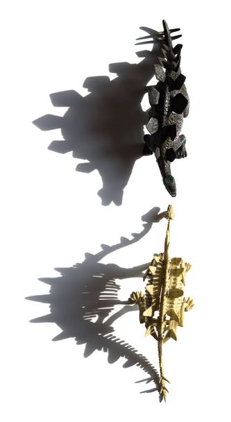 vista superior corpo stegosaurus e esqueleto com sombras sobre um fundo branco
 - Foto, Imagem
