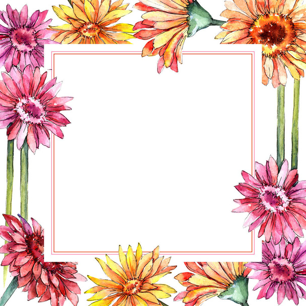 Wildblume Gerbera Blume Rahmen in einem Aquarell-Stil. - Foto, Bild