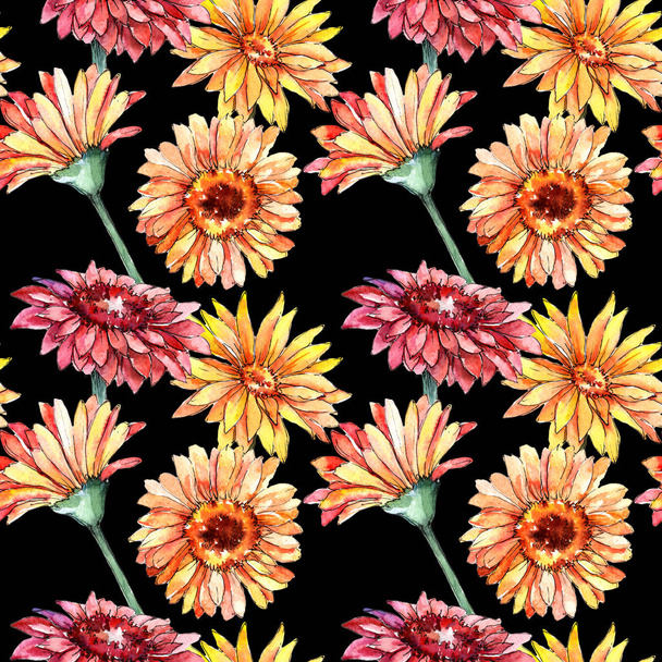 Wildflower gerbera kwiatki w stylu przypominającym akwarele. - Zdjęcie, obraz