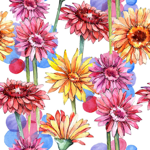 Wildflower gerbera flower pattern in a watercolor style. - Foto, imagen