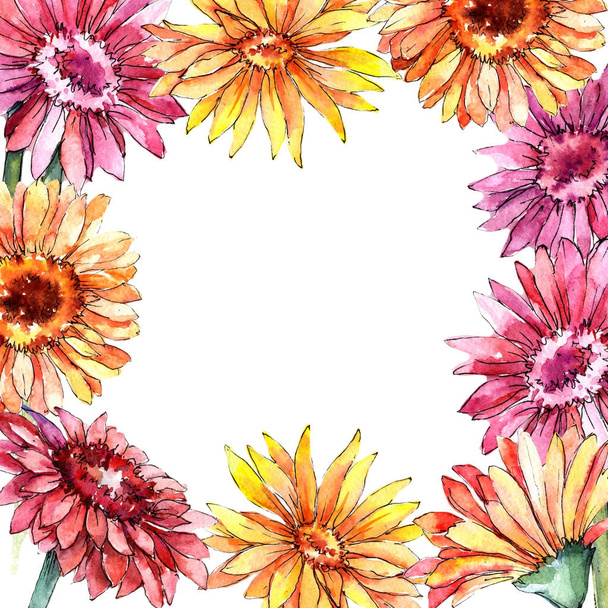 Wildflower gerbera flower frame in a watercolor style. - Foto, afbeelding