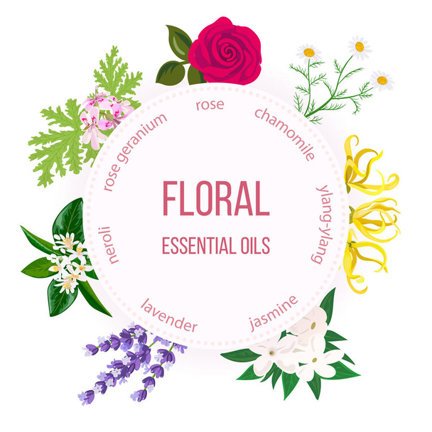 Essential oil round emblem. Rose, Chamomile, jasmine, Ylang-ylang, , neroli, Lavender, rose Geranium - Vector, Imagen
