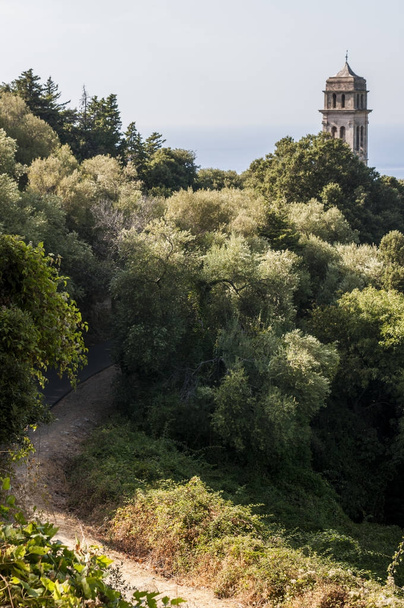 Korsika: mediterrane Macchia mit Blick auf den Glockenturm der Kirche in Pino, Dorf der Haute-Corse auf der Westseite des Cap Corse, nördliche Halbinsel berühmt für wilde Landschaften - Foto, Bild
