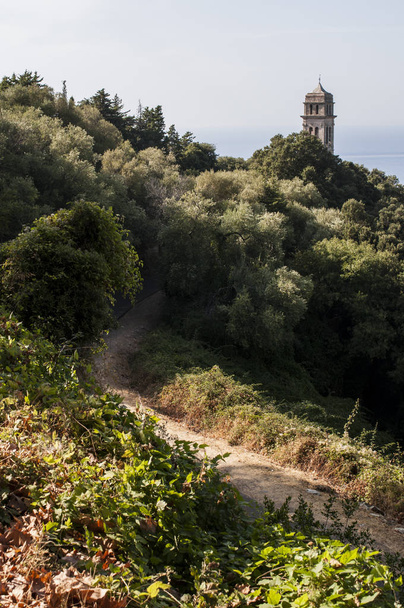 Corsica: Mediterranean maquis with view of the bell tower of the church in Pino, village of the Haute-Corse on the western side of Cap Corse, northern peninsula famous for wild landscapes - Fotó, kép