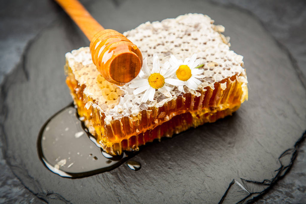 Honeycomb on white - Foto, afbeelding