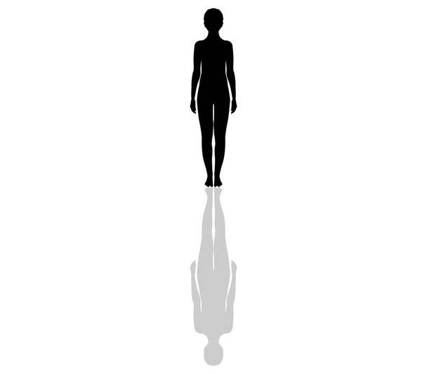 silueta de mujer sobre fondo blanco - Vector, imagen