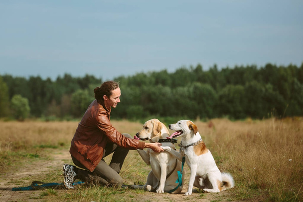 Owner with dogs on field - Valokuva, kuva