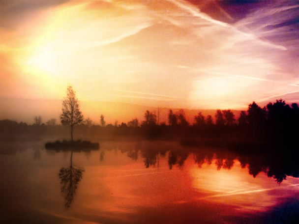 junge Birke auf einer Insel inmitten eines Sumpfsees. Purpurroter Morgen mit friedlichem Wasserstand im Wald - Foto, Bild