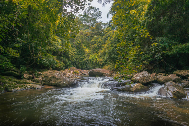 Красивая пейзажная фотография водопада в глубоком лесу
 - Фото, изображение