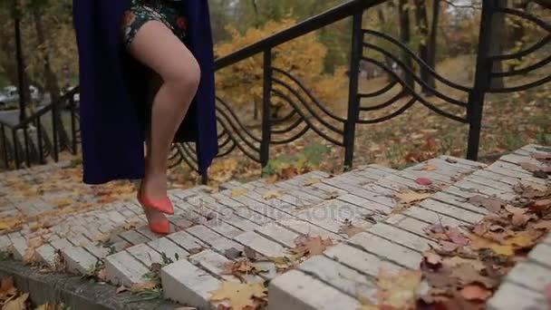 Frauenbeine in Stöckelschuhen die Treppe hinauf - Filmmaterial, Video