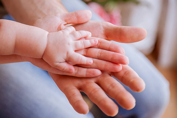 Hand of baby and parents - Φωτογραφία, εικόνα