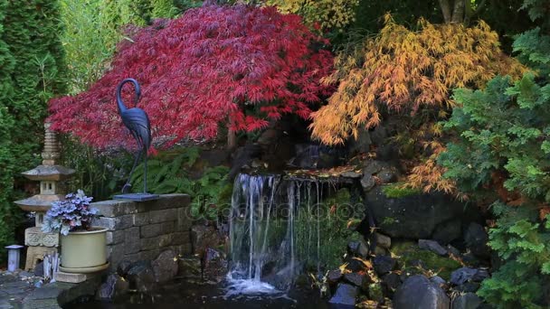 カラフルなビデオは、庭の秋のシーズンの Hd に水特徴以上カエデの木を混入 - 映像、動画