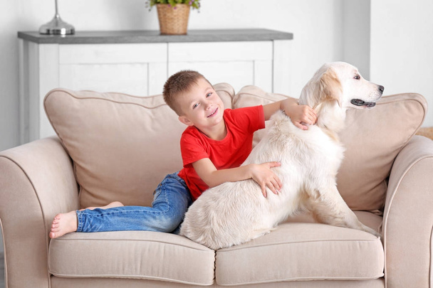 little boy with dog - Zdjęcie, obraz