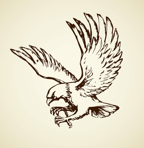 Eagle. Vector drawing - Vector, Image