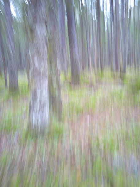 Падіння лісу в русі
 - Фото, зображення