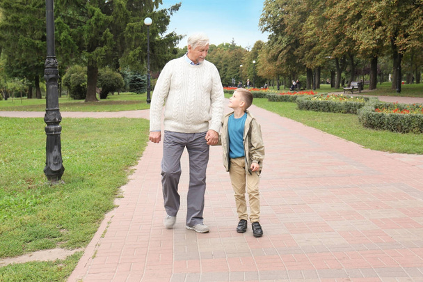 Elderly man with grandson in park - Zdjęcie, obraz