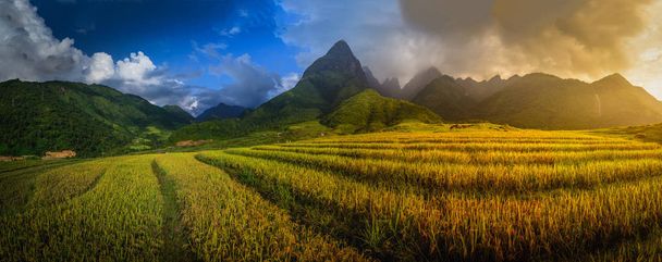 Campos de arroz em terraços com o fundo do Monte Fansipan ao pôr-do-sol em Lao Cai, Vietnã do Norte. Fansipan é uma montanha no Vietnã, o mais alto da Indochina. - Foto, Imagem