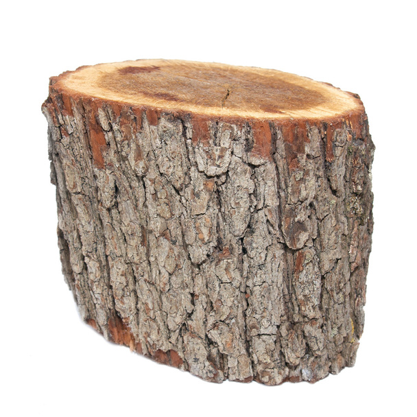 Деревянный пень
 - Фото, изображение