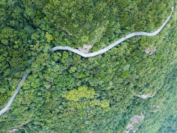 Vista superior da rodovia na floresta
 - Foto, Imagem