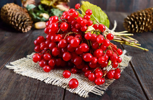 A bunch of red viburnum on a dark wooden background. Gifts of Autumn. Treatment plant. Viburnum berries. Natural remedy. - Photo, Image