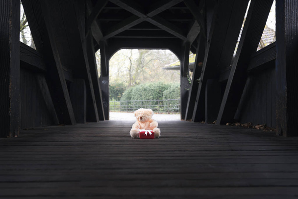 Vycpaný medvěd toy a dar na mostě - Fotografie, Obrázek