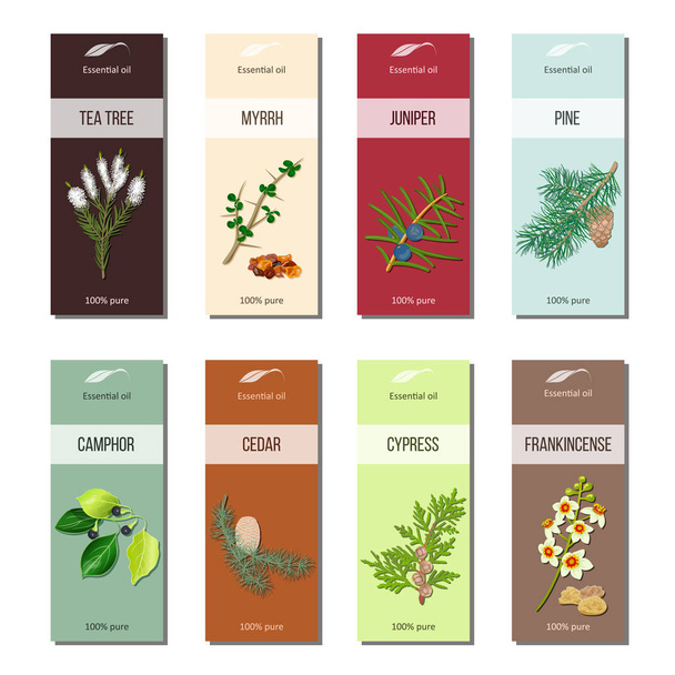 Essential oil labels collection. Tea tree, myrrh, juniper, pine , cinnamon, camphor, cedar, cypress, frankincense - Vektori, kuva
