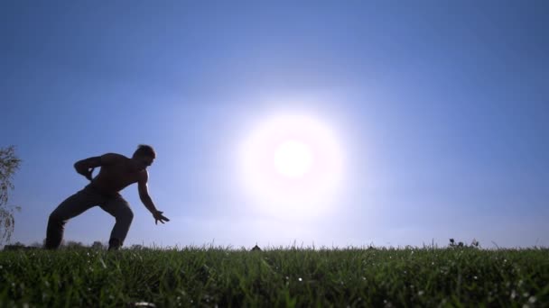 Capoeira sur la pelouse
 - Séquence, vidéo