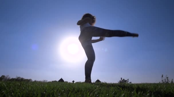 Capoeira na trávníku - Záběry, video