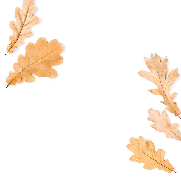 Herbstorangefarbene Blätter - Foto, Bild