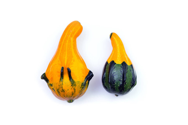 Two fancy pumpkins - Photo, Image