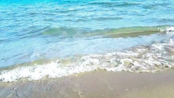 金色の砂、休日でショットのスローモーションで熱帯のカリブ海ビーチ海リラックスし、旅行  - 映像、動画