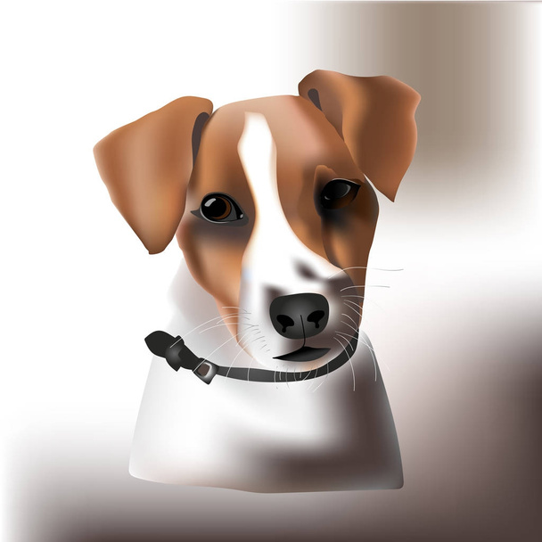 Portret van een hondenras Jack Russell terrier met een kraag. - Vector, afbeelding