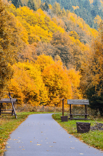 Autumn color journey - Photo, Image