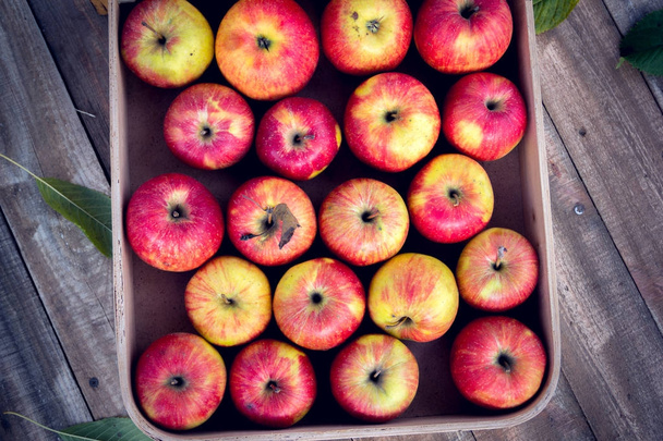 Bir kutuda kırmızı elmalar - Fotoğraf, Görsel