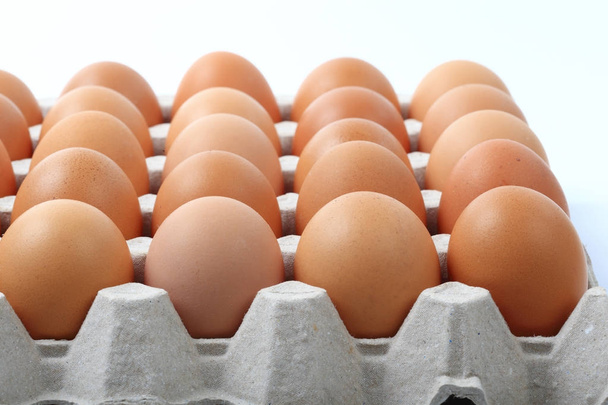 farm fresh chicken eggs in tray.  - Foto, Bild