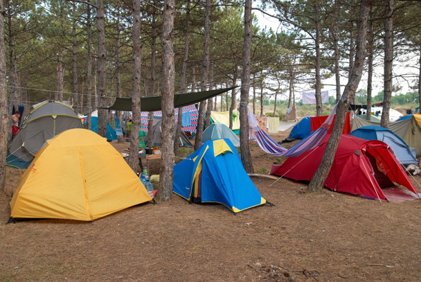 Campeggio nella foresta
 - Foto, immagini