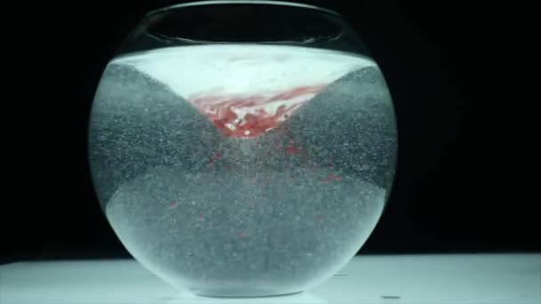 rote Farbe in einem Aquarium mit Wasser. Abstraktion - Filmmaterial, Video