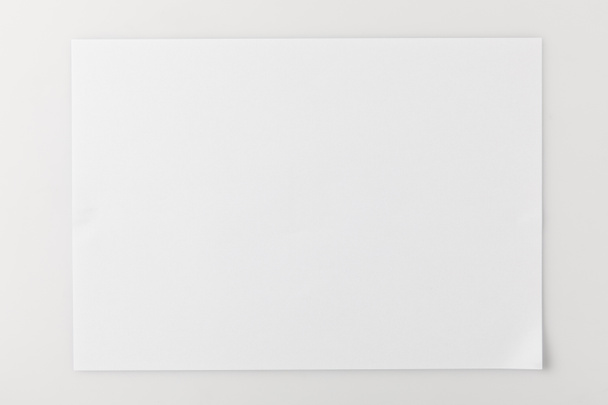 blank paper - Photo, Image