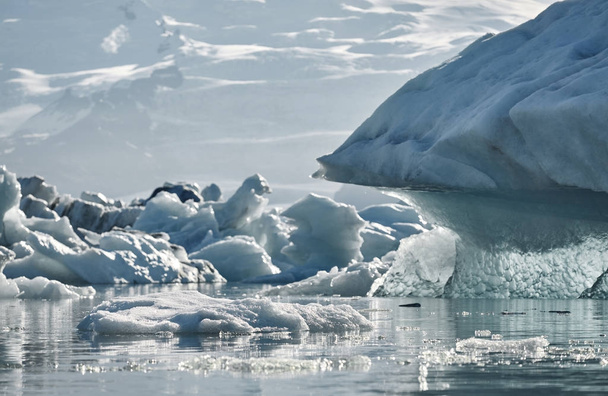 Beautiful cold landscape picture of icelandic glacier lagoon bay, - Foto, Imagen