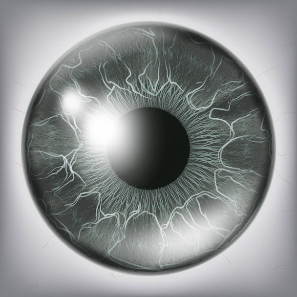 Ojo humano Iris Primer plano Vector. Ilustración sana del concepto médico
 - Vector, Imagen