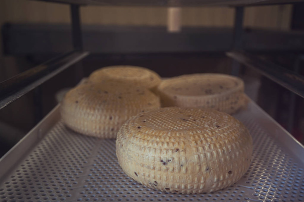 vieillissement des têtes de fromage
 - Photo, image