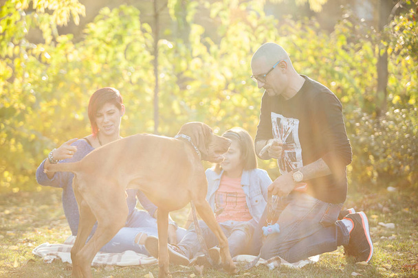 schöne wunderschöne dreiköpfige Familie spielt im Park mit thei - Foto, Bild