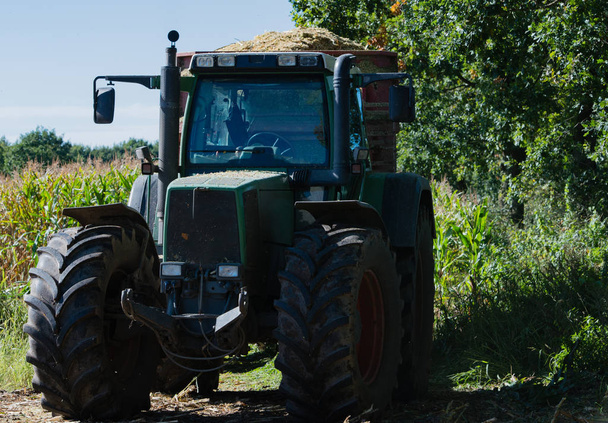 Corn harvest, corn forage harvester in action, harvest truck with tractor - Fotografie, Obrázek