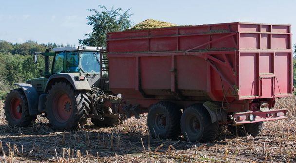 Corn harvest, corn forage harvester in action, harvest truck with tractor - Foto, Imagen