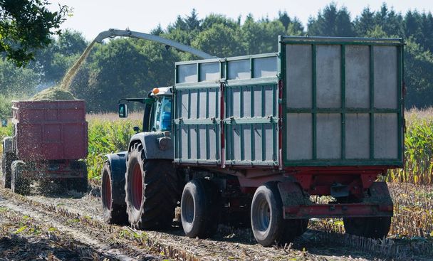 Corn harvest, corn forage harvester in action, harvest truck with tractor - Zdjęcie, obraz